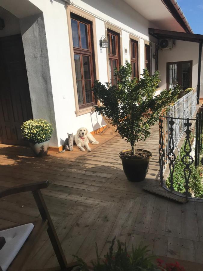 Nordic Apartament